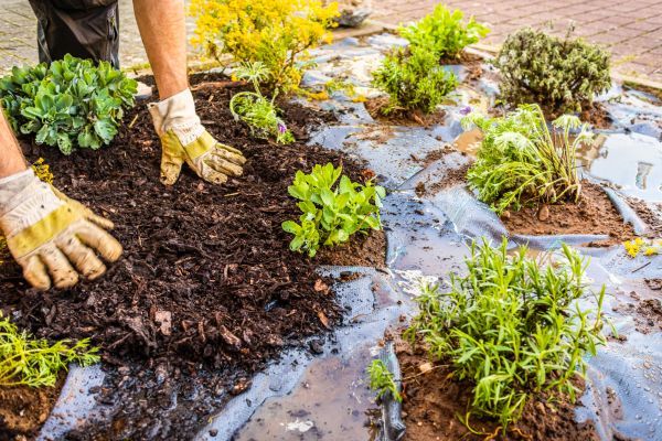 Mulch Fabric Installation in Bloomington