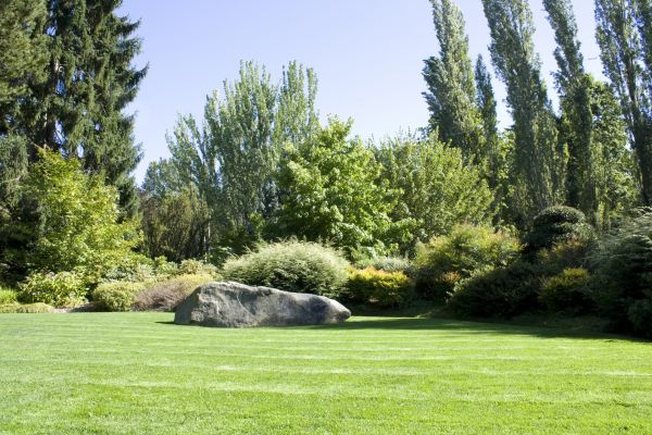 Yard Enlargement in Bloomington