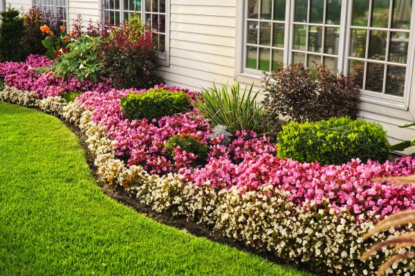 Garden Landscape Design in Bloomington