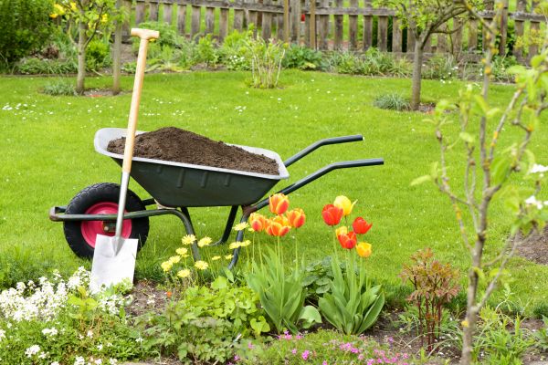 Spring Yard Renovation in Bloomington