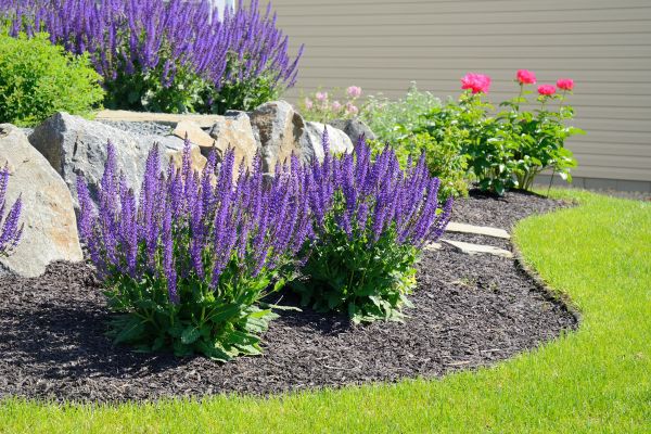 Landscape Planting Service in Bloomington