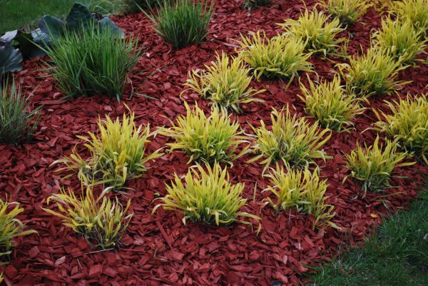 Red Mulch Installation in Bloomington