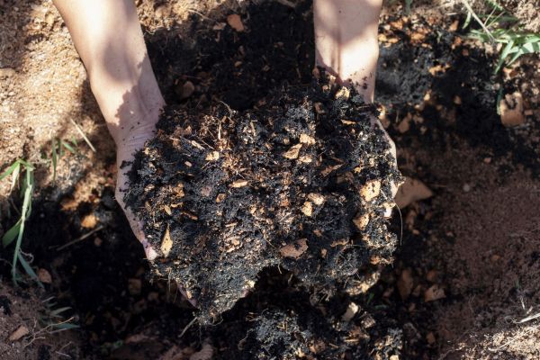 Organic Mulch Installation in Bloomington