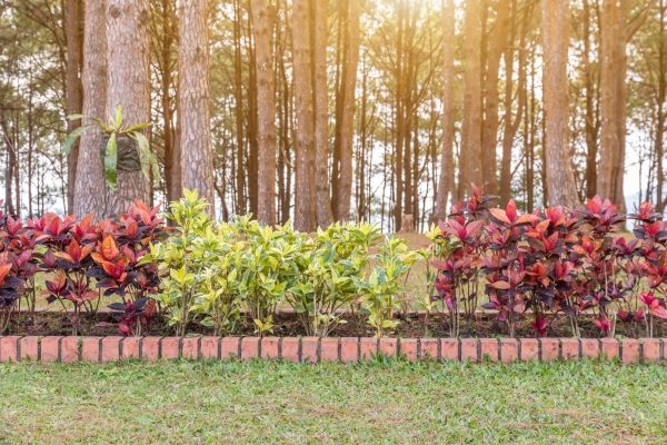Small Garden Landscaping in Bloomington
