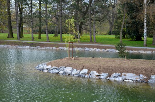 Pond Landscaping Service in Bloomington