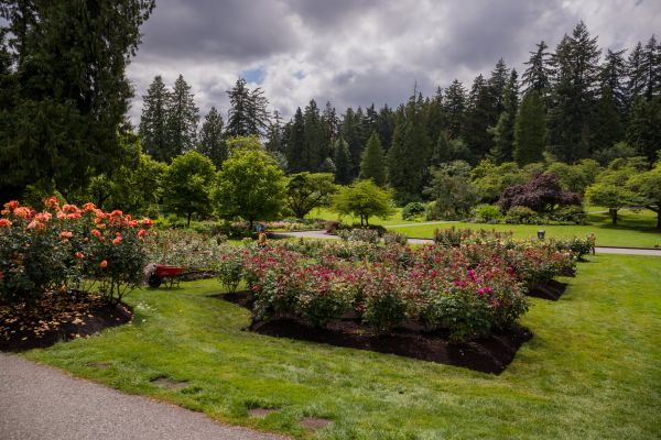 Flower Garden Landscaping in Bloomington