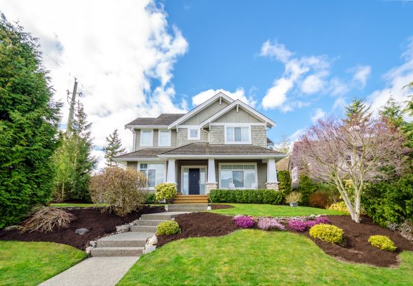 Landscaping Replacement in Bloomington