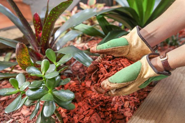 Cedar Mulch Installation in Bloomington