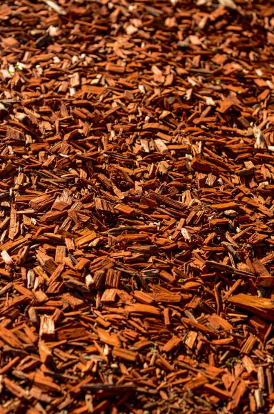 Cedar Mulch Spreading in Bloomington