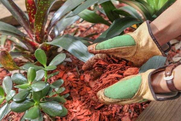 Residential Mulching in Bloomington