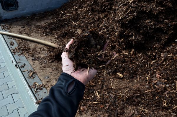 Condo Mulching in Bloomington