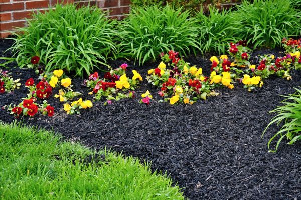 Apartment Mulching in Bloomington